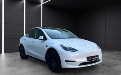 Tesla Model Y Performance