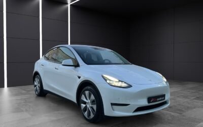 Tesla Model Y LR Dual AWD
